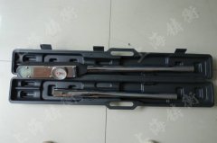 ������ָ�ʽŤ������